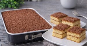 Rychlá piškotová buchta s čokoládou